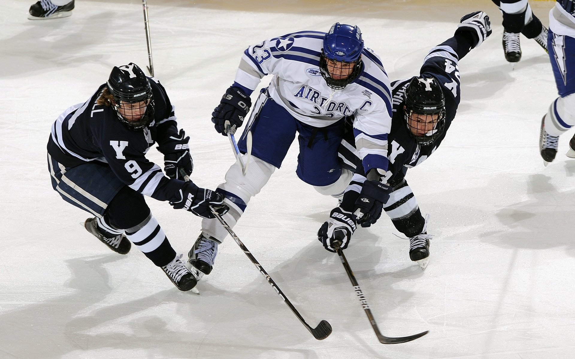 爱游戏官方-中长距离自由泳稳定发挥，中长距离自由泳关键技术