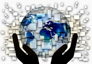 AIYOUXI.COM-国家滑板协会公布全国青少年排名更新机制，国家滑板队训练中心